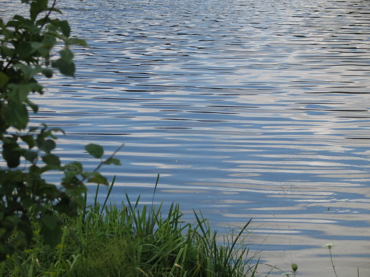 Nie udało się uratować 45-letniego mężczyzny, który poślizgnął się i wpadł do rzeki Wisłoka w Straszęcinie (woj. podkarpackie). Mężczyzna, wraz ze swoimi 27-letnim kolegą, łowił ryby.
