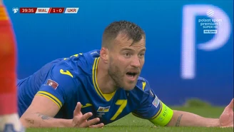 Walia – Ukraina. Decyzja VAR. Czy powinien zostać podyktowany rzut karny? WIDEO (Polsat Sport)