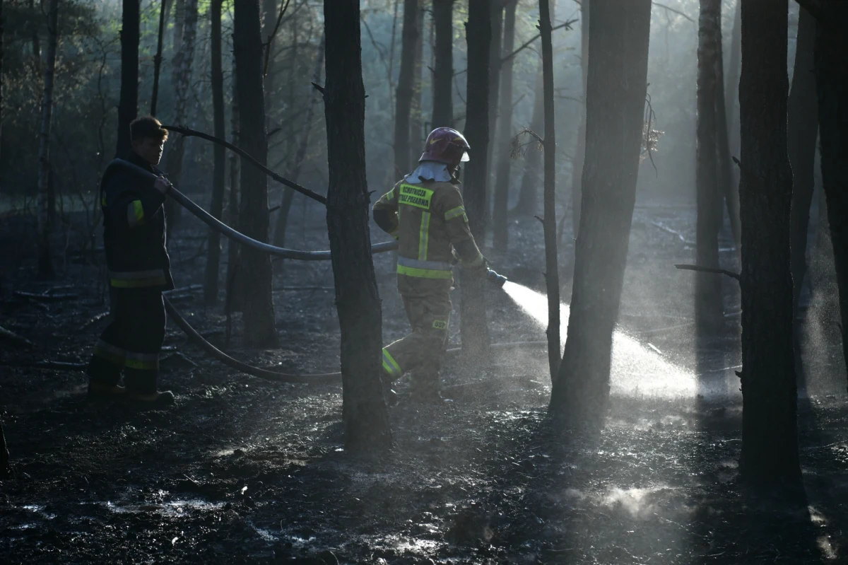 Na zachodzie Polski zagrożenie pożarowe jest wysokie, a miejscami nawet bardzo wysokie - ostrzega Instytut Meteorologii i Gospodarki Wodnej.