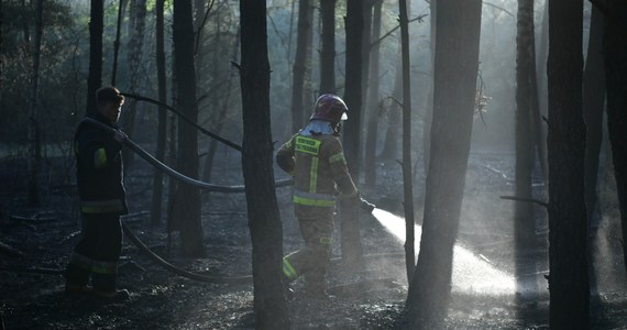 Na zachodzie Polski zagrożenie pożarowe jest wysokie, a miejscami nawet bardzo wysokie - ostrzega Instytut Meteorologii i Gospodarki Wodnej.