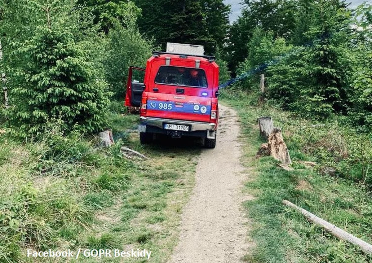 Rośnie liczba turystów wędrujących szlakami w Beskidach, a ratownicy GOPR-u mają coraz więcej pracy - to wniosek z majowego podsumowania działań Grupy Beskidzkiej Górskiego Ochotniczego Pogotowia Ratunkowego. W poprzednim miesiącu ratownicy interweniowali 43 razy.