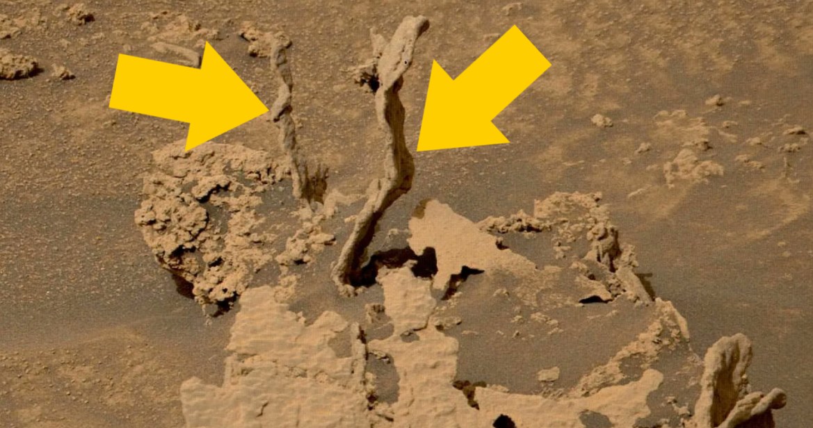 W ostatnich dniach marsjański łazik Curiosity sfotografował osobliwie wyglądające formacje skalne. Dwie „kamienne, kręte wieże” nie przypominają z pozoru niczego, co moglibyśmy napotkać na naszej planecie. Okazuje się, że jednak skalne słupy są najpewniej marsjańskim odpowiednikiem geomorfologicznych form zwanych „hoodoo”.