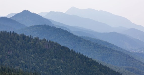 Poszukiwany 24-letni Polak, który samotnie wybrał się w niedzielę na wyprawę w Tatry Zachodnie, spadł z wysokości. Jego ciało odnaleźli dziś słowaccy ratownicy górscy.