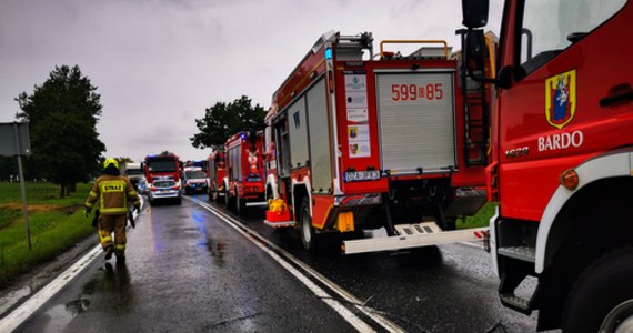 Groźny wypadek na drodze krajowej numer 8 w Braszowicach na Dolnym Śląsku. 9 dzieci zostało rannych.