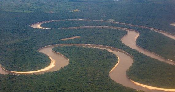 Brazylijska policja wszczęła dochodzenie kryminalne i przesłuchała co najmniej czterech świadków, którzy prawdopodobnie jako jedni z ostatnich widzieli brytyjskiego dziennikarza i towarzyszącego mu eksperta ds. ludności tubylczej, którzy zaginęli w niedzielę w odległych rejonach amazońskiej dżungli.