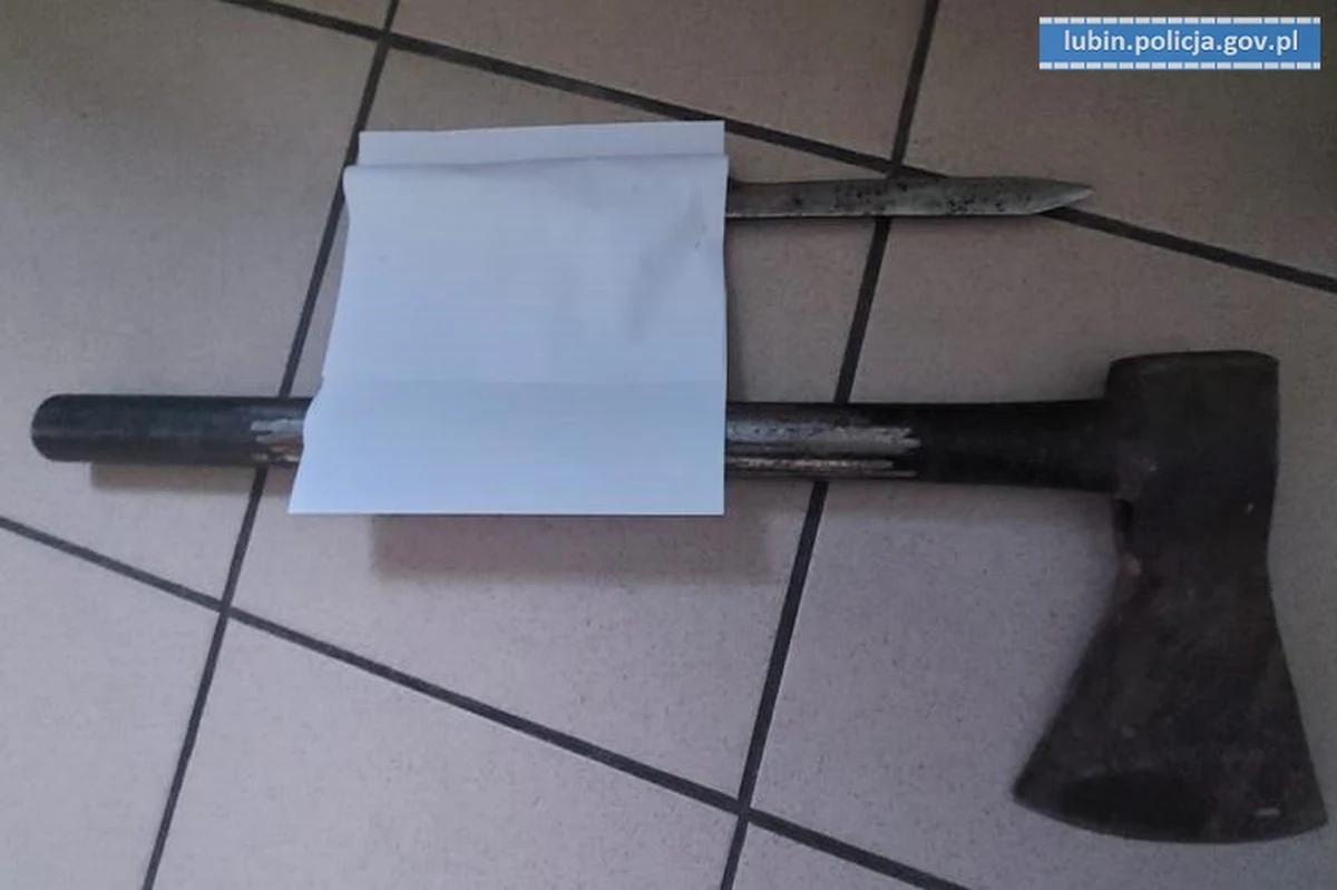 Na trzy miesiące trafił do aresztu mieszkaniec Lubina na Dolnym Śląsku, który usłyszał zarzuty zniszczenia mienia, zakłócenia miru domowego oraz gróźb karalnych. Mężczyzna wdarł się do mieszkania swojego znajomego, uszkadzając siekierą drzwi wejściowe. Następnie zdemolował lokal. Groził pokrzywdzonemu, że go zabije. 