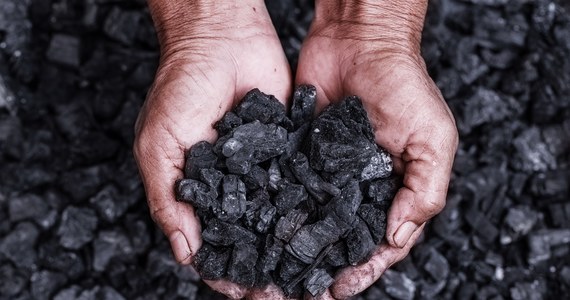 „Odradzam kupowanie węgla w tej chwili tym, którzy chcą się w niego zaopatrzyć na zimę. Zaraz przez politykę spółek Skarbu Państwa dojdzie do obniżenia ceny węgla, ponieważ chcemy bezpośrednio go dystrybuować, pominąć pośredników” - powiedział rzecznik rządu Piotr Müller.