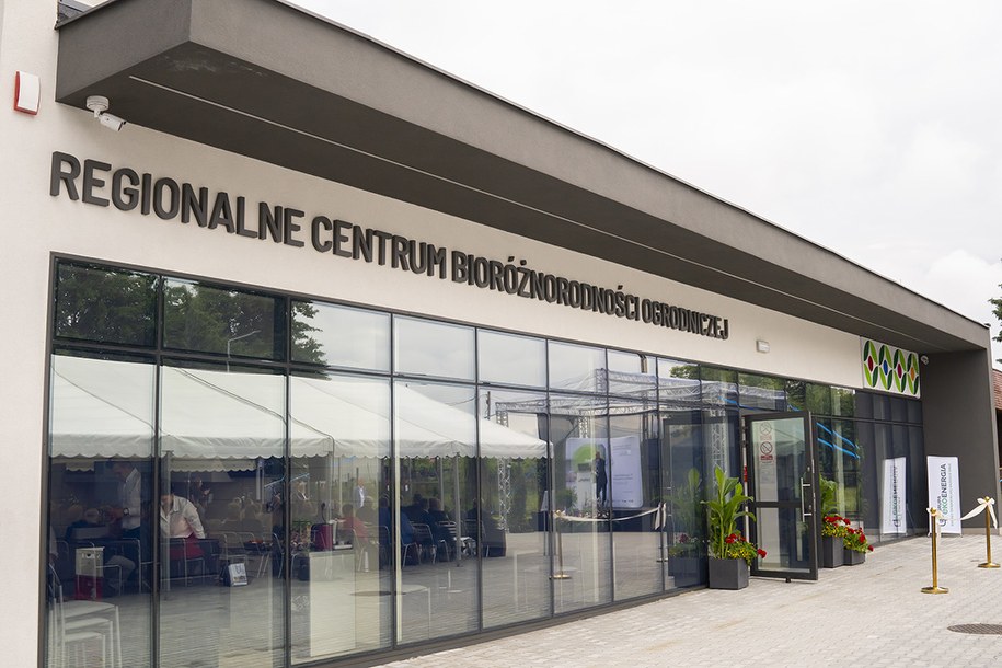 /Sebastian Sołtyszewski  /