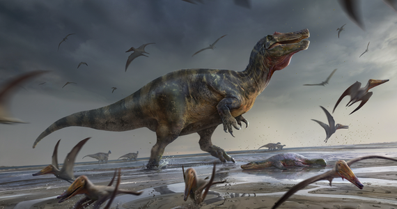 Paleontolodzy z University of Southampton odkryli na brytyjskiej wyspie Wight szczątki największego lądowego drapieżnika w historii Europy. Na łamach czasopisma "PeerJ Life & Environment" opisują poruszającego się na dwóch nogach, należącego do tak zwanych spinozaurów, olbrzyma o krokodylim pysku, który mógł sięgać nawet 10 metrów długości. Nazwany od warstw skalnych, w jakich znaleziono te szczątki spinozaur White Rock żył około 125 milionów lat temu, polował prawdopodobnie w płytkich przybrzeżnych wodach. 