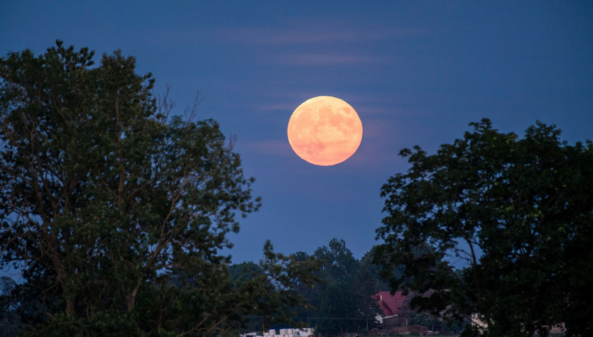 Super Lună Plină.  Au fost notate cele mai bune ore de ceas cu lună de căpșuni