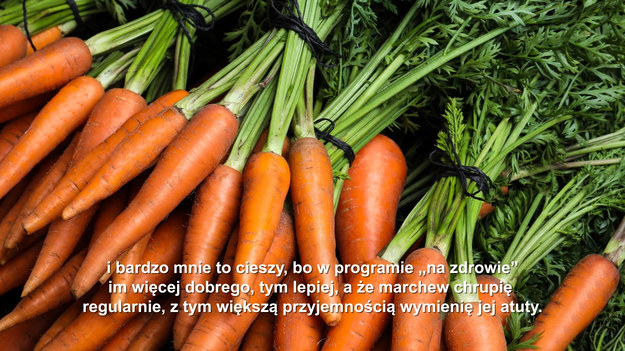 Z wyliczeniem walorów marchewki nie pójdzie mi szybko i bardzo dobrze, i bardzo mnie to cieszy, bo w programie „Na zdrowie” im więcej dobrego, tym lepiej, a że marchew chrupię regularnie, z tym większą przyjemnością wymienię jej atuty.
Zacznę od najważniejszych. Marchew to kopalnia przeciwutleniaczy: karotenoidów i flawonoidów. Wśród tych pierwszych na czele: beta-karoten, luteina, zeaksantyna, likopen i alfa-karoten. Z flawonoidów wymienię: kemferol, luteolinę i kwercetynę . Do tego związki fenolowe, które redukują, stabilizują lub delokalizują wolny elektron lub atom wodoru. To dzięki ich obecności marchew jest tak skuteczna w walce z wolnymi rodnikami. Wspomnę jeszcze o kwasie chlorogenowym, który zmniejsza wchłanianie cukru, pomaga w leczeniu cukrzycy, kwasie kumarynowym - ten zmniejsza ryzyko wystąpienia raka żołądka i kwasie cynamonowym - stosowanym w kosmetyce i medycynie jako środek przeciwbakteryjny. Cynamoniany w kosmetyce używane są jako środki do ochrony skóry przeciw promieniowaniu UV-A i UV-B. To jedne z najbardziej cenionych właściwości, część z nich na pewno jest wam znana.
