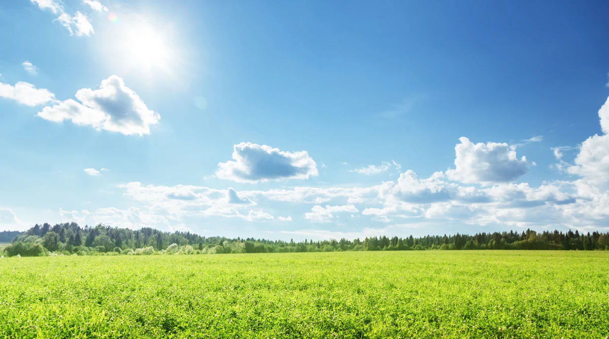 Pogodny poranek z temperaturą do 15 st. C i dzień z maksymalną do 22 st. C prognozuje IMGW. Synoptyk Szymon Ogórek zaznacza, że burz mogą się lokalnie spodziewać mieszkańcy północno-wschodnich krańców Polski, a przelotne deszcze mogą wystąpić na północy.