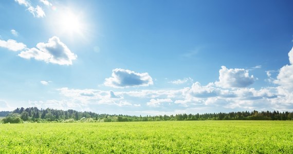 Pogodny poranek z temperaturą do 15 st. C i dzień z maksymalną do 22 st. C prognozuje IMGW. Synoptyk Szymon Ogórek zaznacza, że burz mogą się lokalnie spodziewać mieszkańcy północno-wschodnich krańców Polski, a przelotne deszcze mogą wystąpić na północy.