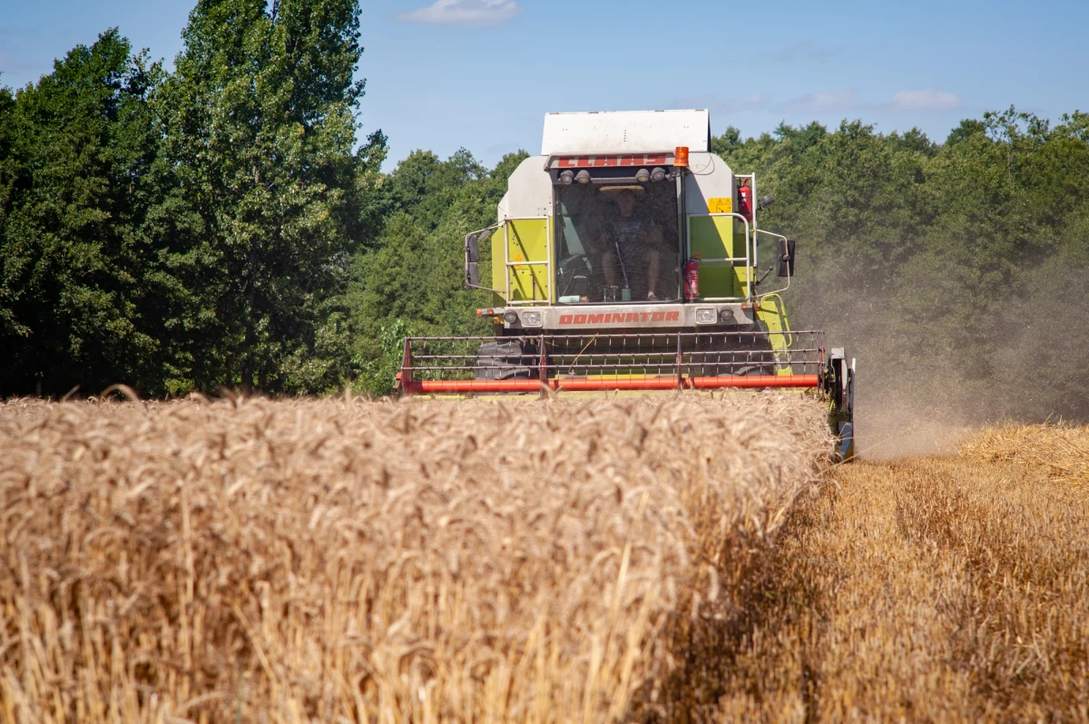 Rosja, Ukraina i Turcja porozumiały się w sprawie utworzenia specjalnej grupy negocjacyjnej, która ma rozwiązać problem eksportu ukraińskiego zboża z zablokowanych portów czarnomorskich - taką informację podaje turecka telewizja TRT. Te doniesienia powielają rosyjskie agencje. Ukraina na razie milczy. 