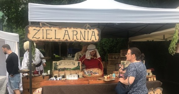 Tłumy turystów oblegają Zamek Czocha na Dolnym Śląsku. Wszystko za sprawą festiwalu Twierdza Smaków. Spróbować można potraw, których na co dzień nie spotykamy na polskich stołach.