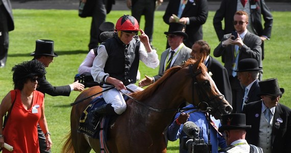 Brytyjska królowa Elżbieta II po raz pierwszy od czasu swojej koronacji w 1953 r. całkowicie opuściła wyścigi konne Royal Ascot.