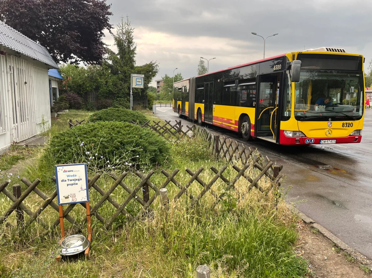 Wrocławskie MPK postanowiło kolejny już raz zadbać o psy i koty. Na pętlach tramwajowych i autobusowych rozstawiono miski z wodą dla czworonogów, by mogły się one chłodzić w upalne letnie dni. 