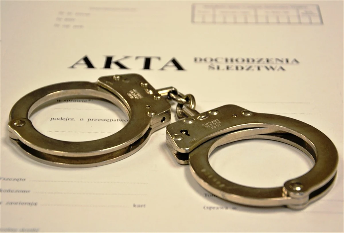 Policjant z Nowego Sącza będąc po służbie, rozpoznał i zatrzymał mężczyznę, który kilka godzin wcześniej uderzył i okradł kobietę. Sprawca rozboju usłyszał już zarzut, a ponieważ działał w recydywie grozi mu wysoka kara.

