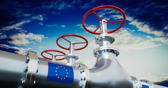 Rosja może całkowicie odciąć dopływ gazu do Europy, ponieważ chce wzmocnić swoje polityczne wpływy w obliczu kryzysu na Ukrainie - oświadczył szef Międzynarodowej Agencji Energetycznej (IEA) Fatih Birol. Podkreślił, że Europa powinna na to przygotować się już teraz.