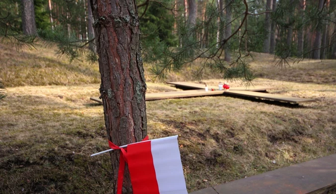 "Akt wrogości". Stanisław Żaryn o usunięciu polskich flag