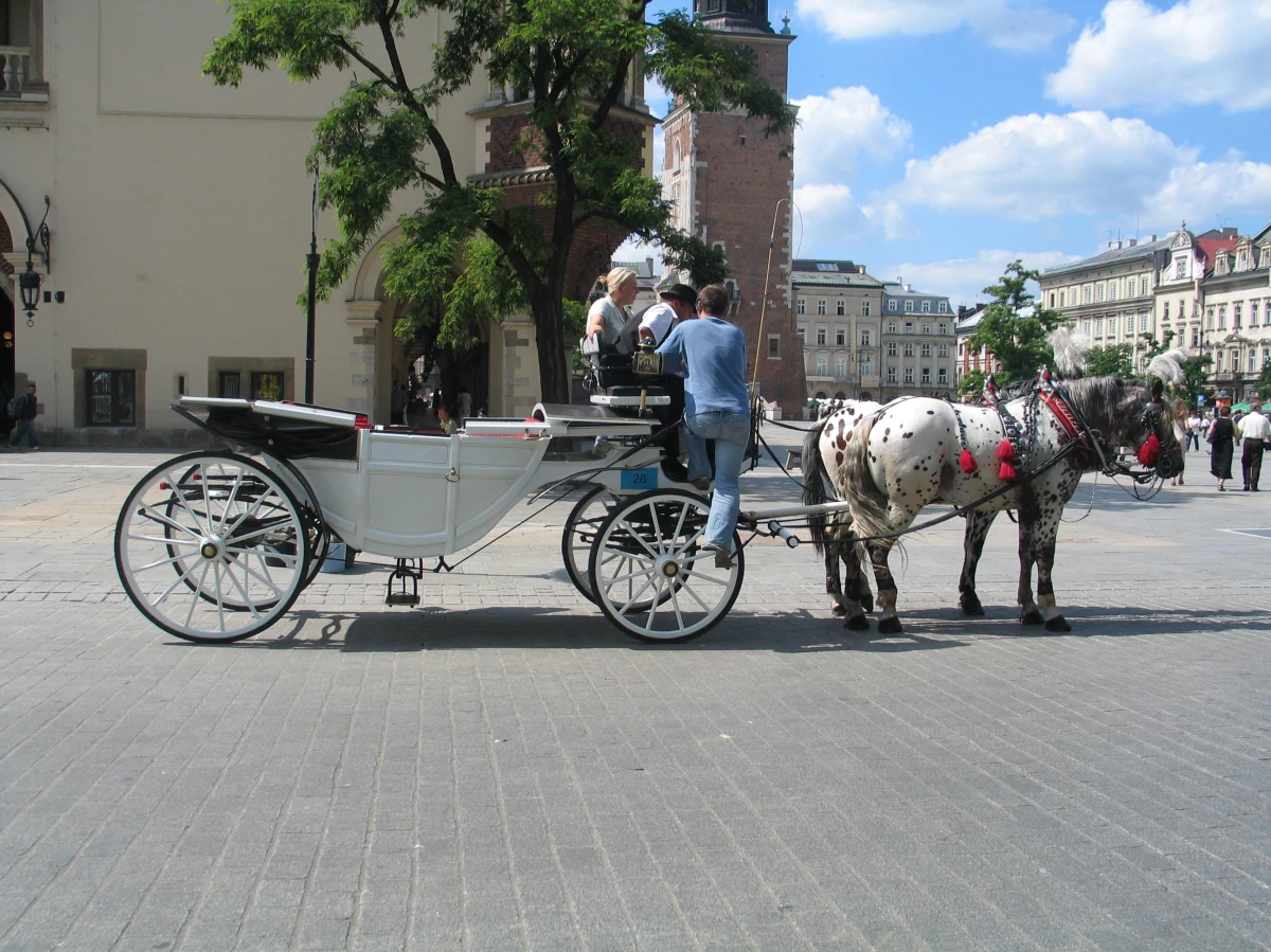 W związku z falą upałów od wtorku do odwołania, od g. 9.30 do 19.00, zamknięty będzie postój dla dorożek na Rynku Głównym. Jak informuje Wydział Spraw Administracyjnych krakowskiego magistratu zakazany będzie nawet przejazd przez Rynek.

