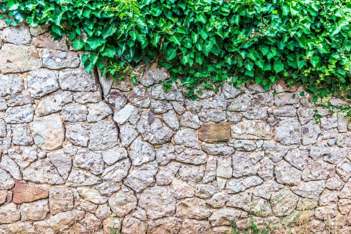 Już ponad 40 gmin w Polsce wystosowało do mieszkańców apel o ograniczenie podlewania ogródków czy napełniania przydomowych basenów. Niektóre samorządy wprowadziły zakazy.