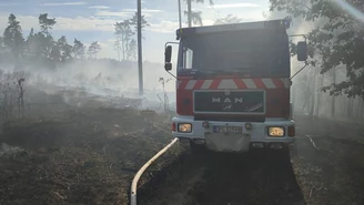 Pożar lasu i nieużytków w Piotrowej. W akcji helikopter, samolot i wozy gaśnicze