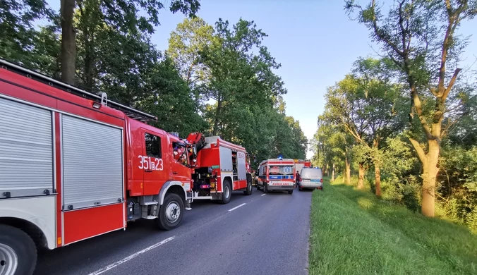 Skierniewice: Samochód dostawczy potrącił dwie nastolatki. Jedna nie żyje