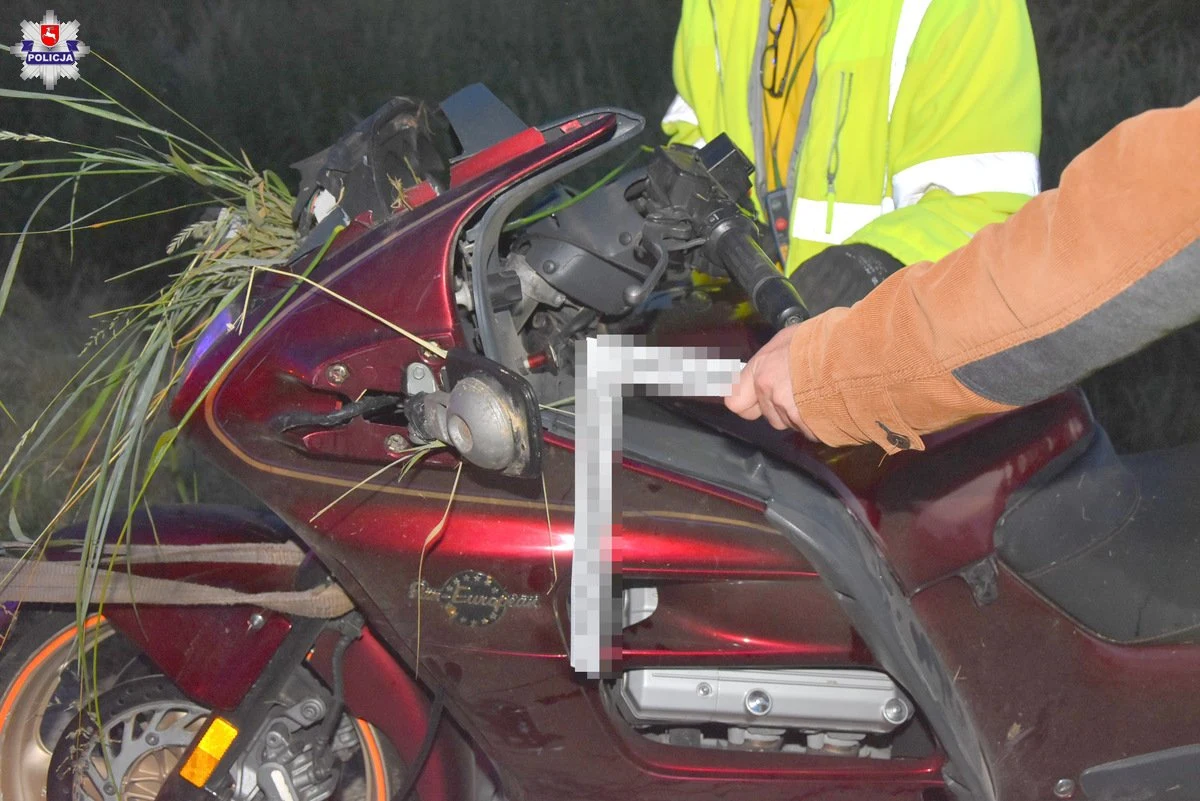 Z obrażeniami ciała trafił do szpitala pasażer motocykla, po koła którego wbiegła sarna. Prowadzący, chcąc uniknąć zdarzenia, gwałtownie zahamował, stracił panowanie nad pojazdem, wjechał do przydrożnego rowu i zatrzymał się w gęstych zaroślach. Do wypadku doszło w Olszance na Lubelszczyźnie.

