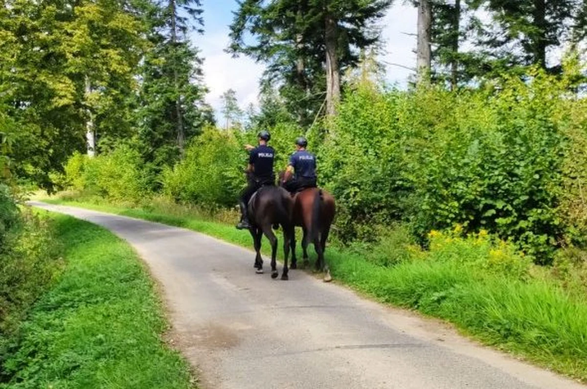 Na Podkarpaciu podczas wakacji będą działały dwa sezonowe posterunki policji. Zostaną utworzone w Polańczyku w Bieszczadach oraz nad Jeziorem Tarnobrzeskim - powiedziała w środę PAP rzecznik prasowy podkarpackiej policji podinspektor Marta Tabasz-Rygiel.

