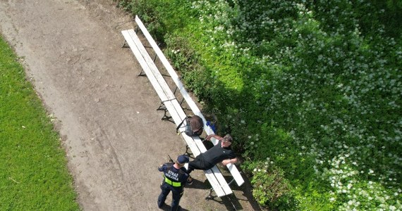 Strażnicy miejscy kontrolowali teren parku Znicza na Grochowie za pomocą drona. Latający obiekt nie spodobał się biesiadującym na ławce mężczyznom. Jeden z nich, chcąc odpędzić intruza, zaczął w niego rzucać klapkiem.