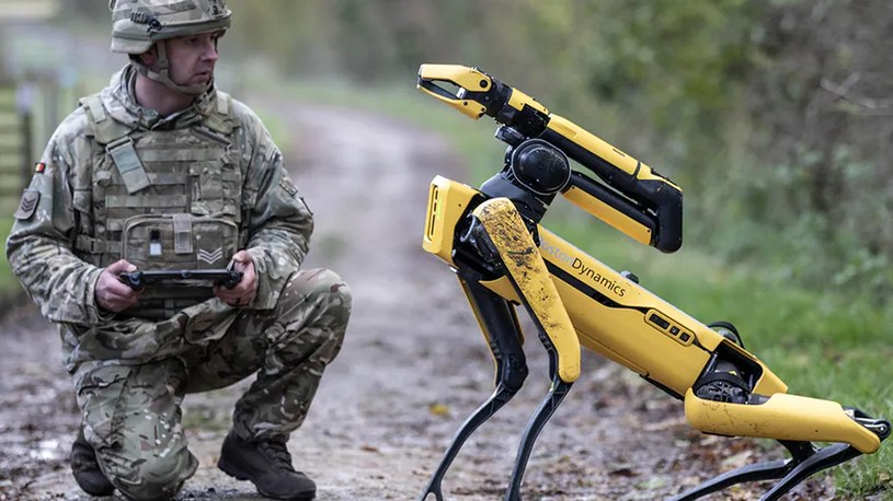 Firma Boston Dynamics wyśle na Ukrainę słynne robo-psy o nazwie Spot. Te maszyny mają pomagać ukraińskim żołnierzom skuteczniej walczyć z rosyjskim agresorem.
