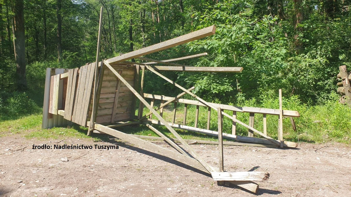 "Akt zuchwałego wandalizmu" – tak o zniszczeniu 10 ambon myśliwskich napisało Nadleśnictwa Tuszyma z okolic Mielca. Internauci są jednak innego zdania. Chwalą sprawców i życzą im więcej podobnych akcji. 
