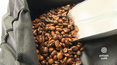 „Zdrowie na widelcu”: Takich ziaren kawy lepiej nie kupować