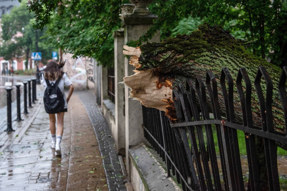 /Wojtek Jargiło /PAP