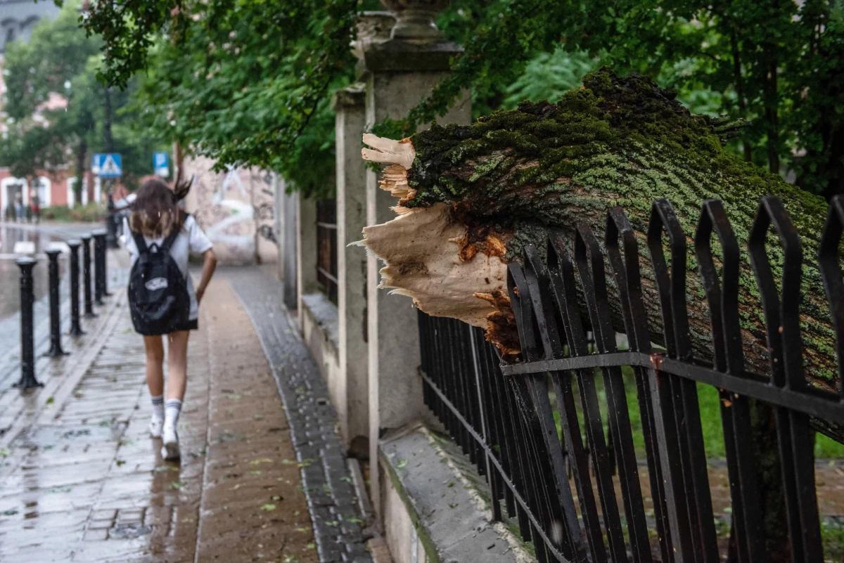 Instytut Meteorologii i Gospodarki Wodnej wydał ostrzeżenia drugiego i trzeciego stopnia przed burzami z gradem w regionie łódzkim, w którym temperatura w piątek w południe wynosiła 32 stopnie Celsjusza. Burze mogą pojawić się po południu, wieczorem i w nocy - podali synoptycy.