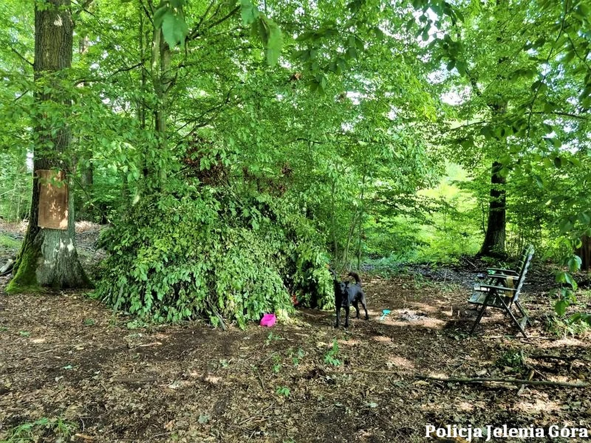 Jeleniogórscy policjanci zatrzymali mężczyznę, który za jazdę po pijanemu miał na rok i 5 dni trafić do więzienia. 44-latek za wszelką ceną chciał uniknąć pobytu za kratkami, dlatego ukrywał się w zbudowanym przez siebie szałasie w lesie.