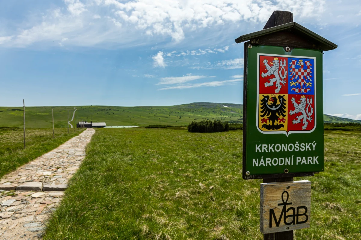 Torfowisko na Równi pod Śnieżką to jedno z 12 stanowisk na świecie, które ma szansę zostać „złotym gwoździem” - oficjalną granicą między holocenem a proponowanym antropocenem – epoką, w czasie której siłą sprawczą jest konsumpcjonizm człowieka.