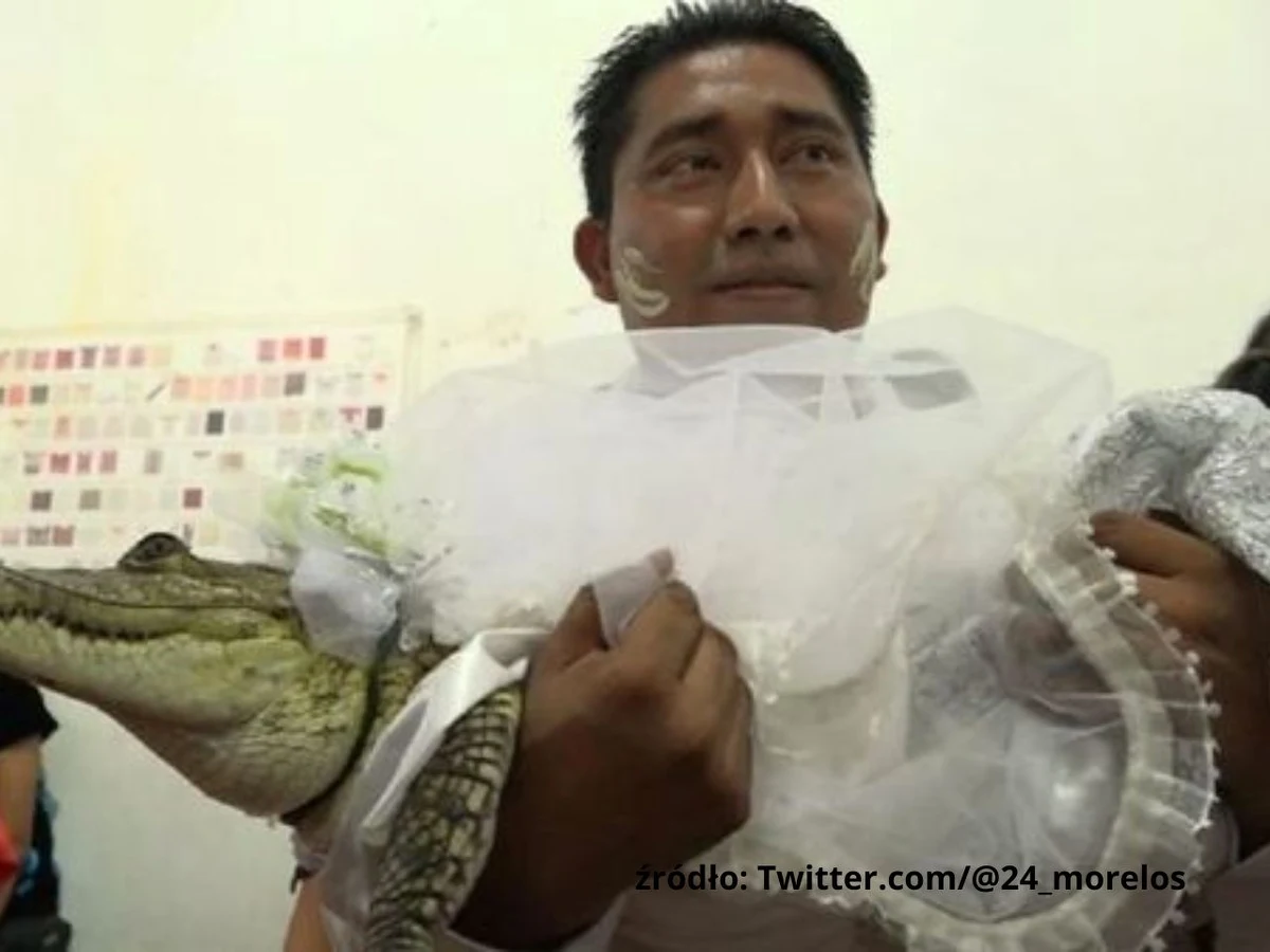 Burmistrz meksykańskiego miasteczka San Pedro Huamelula Victor Hugo Sosa poślubił… aligatora. To stara indiańska tradycja, która ma zapewnić mieszkańcom miejscowości dobrobyt i przychylność natury.