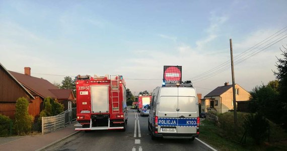 25-latka zginęła po potrąceniu przez samochód w miejscowości Pułanki na Podkarpaciu. Do wypadku doszło po g. 23. na drodze wojewódzkiej nr 988.

