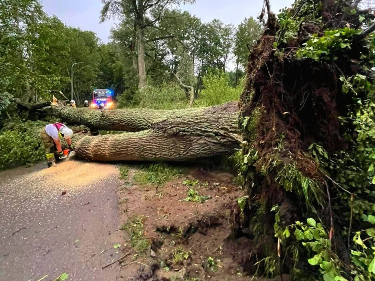 Słupsk i powiat słupski - te okolice na Pomorzu najbardziej odczuły wczoraj skutki niebezpiecznego frontu atmosferycznego. 155 z ponad 800 interwencji w tym regionie to właśnie Słupsk i okolice. W mieście wiatr złamał iglicę XV-wiecznego kościoła św. Jacka. Ta runęła i wbiła się w dach budynku. 