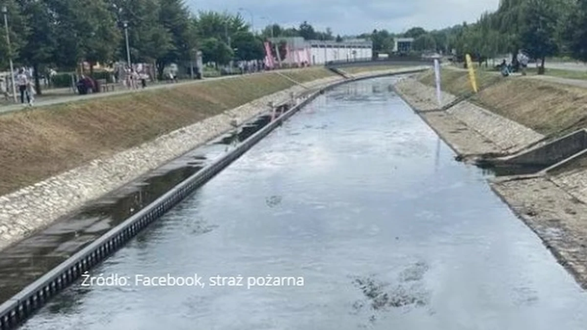 Dramatyczne sceny na Bulwarach Czarnej Przemszy w Będzinie. Do rzeki wpadło 3-letnie dziecko. Chłopczyka wyciągnął na brzeg strażak. 