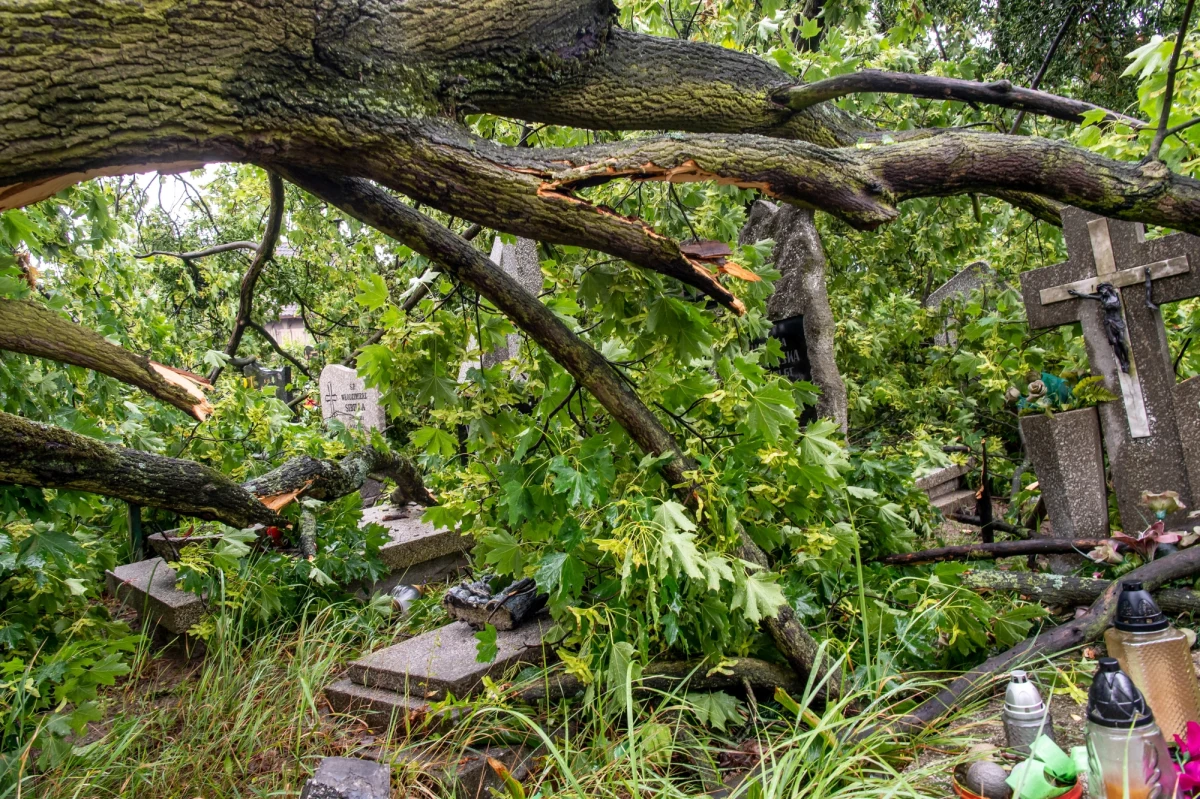 Prawie tysiąc razy wyjeżdżała dziś straż pożarna do zdarzeń związanych z usuwaniem skutków nawałnic, które w piątek przeszły przez Polskę. Najwięcej pracy służby miały w województwie pomorskim.