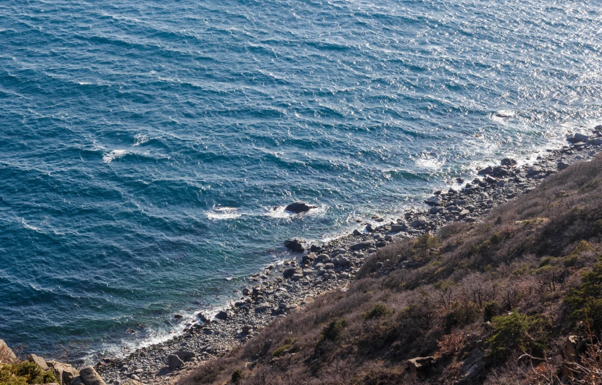 W miejscowości wypoczynkowej Karolino-Buhaz w obwodzie odeskim Ukrainy dwóch mężczyzn kąpiących się w zabronionej przez wojsko strefie w Morzu Czarnym trafiło na minę. Jeden z nich zginął, drugi został ranny - poinformowała rzeczniczka ukraińskiego dowództwa operacyjnego Południe Natalia Humeniuk.