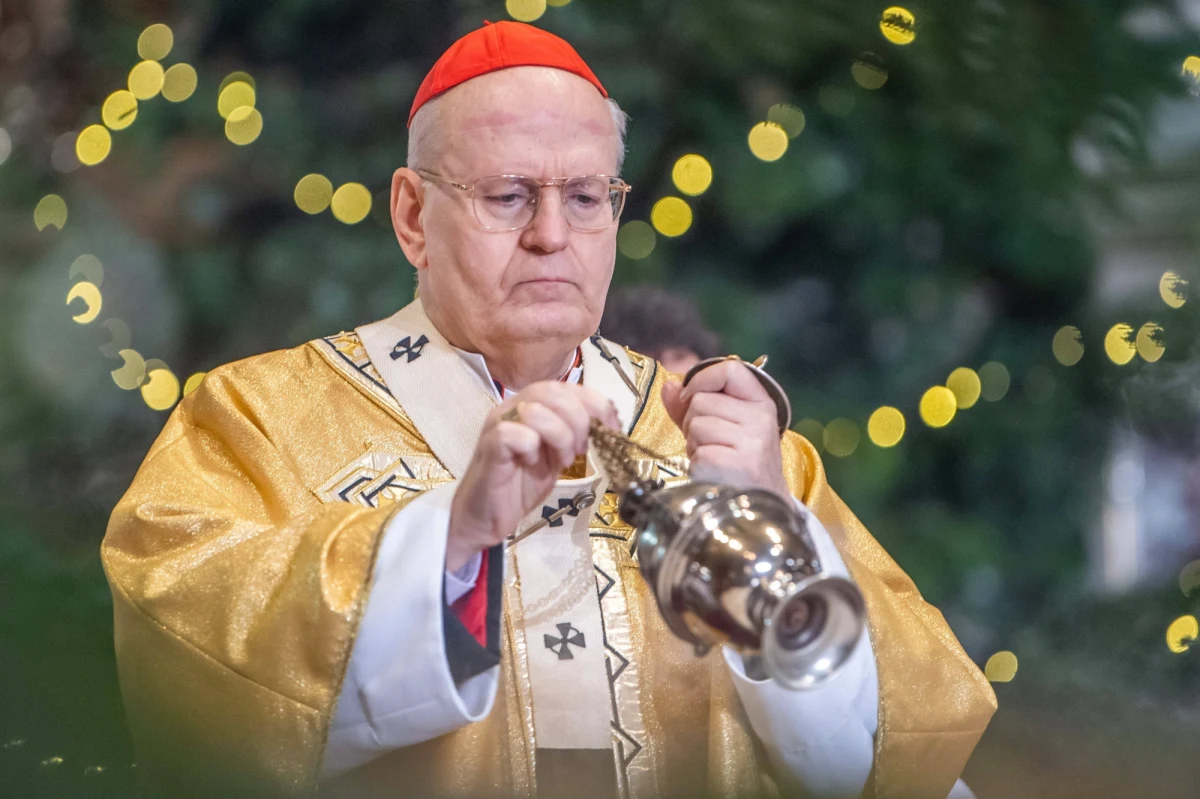 W ostatnich tygodniach ponownie ruszyły spekulacje na temat pontyfikatu papieża Franciszka. Niektórzy zastanawiają się, czy papież abdykuje. Razem z tymi plotkami pojawiły się już pierwsze nazwiska potencjalnych następców.