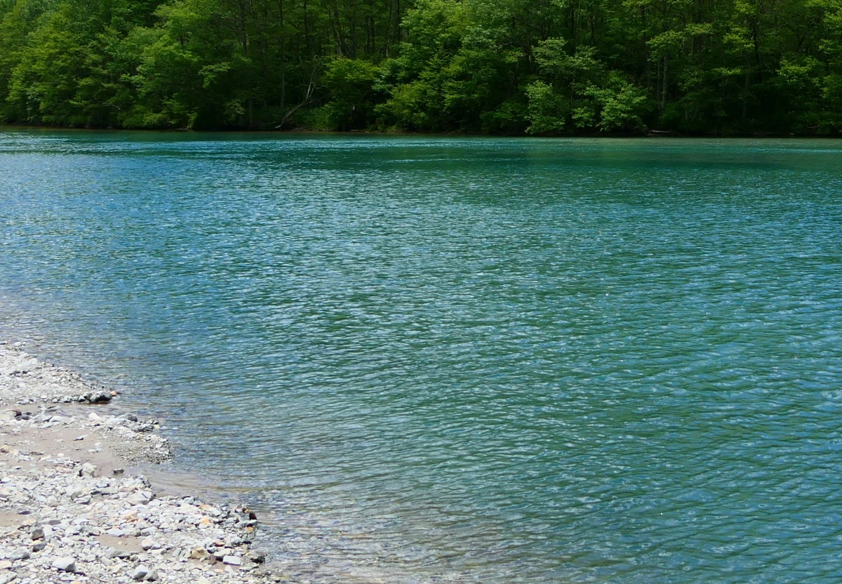 21-letni kajakarz utonął w niedzielę rano w Jeziorze Górskim w pow. płockim (mazowieckie) - poinformowała rzeczniczka Komendy Wojewódzkiej Policji w Radomiu podinsp. Katarzyna Kucharska.
