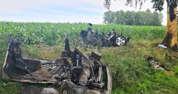 44-letni kierowca stracił panowanie nad samochodem i uderzył w drzewo. Mężczyzna zginął na miejscu. Do tragicznego wypadku doszło w Jastrzębiu Górnym (woj. łódzkie).