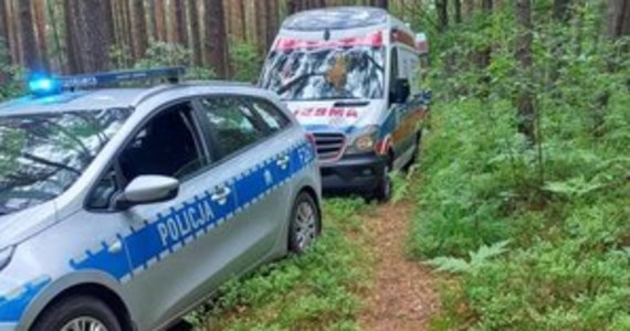 Koluszkowscy policjanci pomogli 63-latce, która wybrała się do lasu na jagody i złamała nogę. Kobieta telefonicznie wezwała pomoc, ale ratownicy nie byli w stanie dotrzeć w głąb lasu. W jej poszukiwania zaangażowani byli rowerzyści poruszający się leśnymi duktami i policjanci.   

