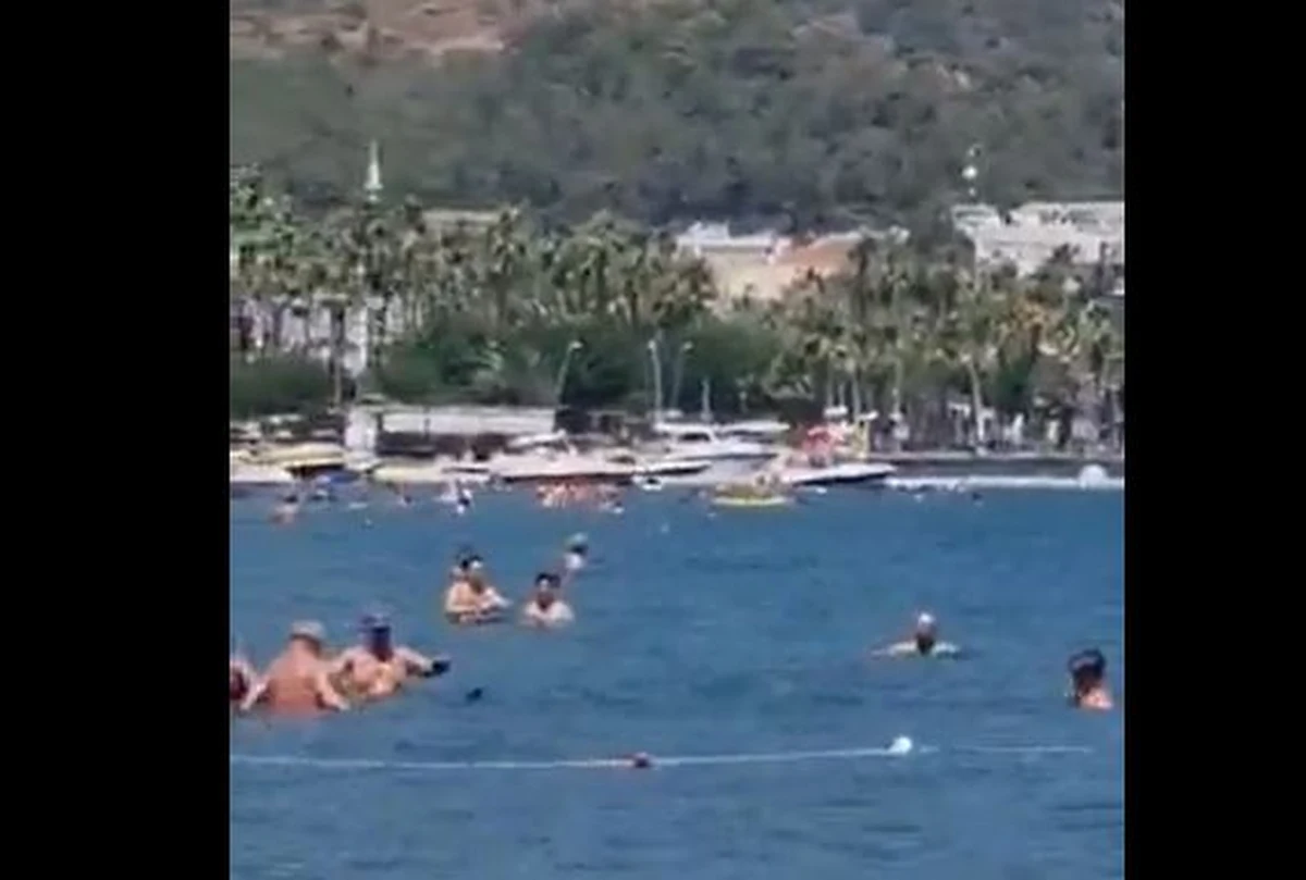 Plażowicze na jednej z plaż miasta Marmaris w południowo-zachodniej Turcji przy pomocy mopa odpędzili rekina, który zbliżył się do pływających w morzu ludzi - poinformował turecki portal ABCgazetesi.