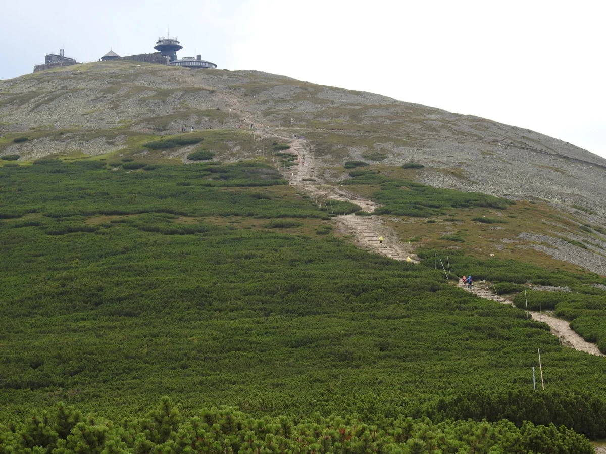"Wakacje z przyrodą i przygodą" to cykl wakacyjnych wycieczek przygotowanych z myślą o turystach indywidualnych. Są bezpłatne i odbywają się w każdą środę. W przygotowanym przez Karkonoski Park Narodowy programie znajdziemy między innymi: poznawanie tajemnic Góry Chojnik i poszukiwanie ametystów.